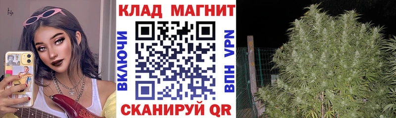 Цена Алейск A-PVP  KRAKEN сайт  COCAIN  Меф 