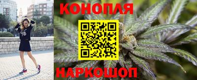 гидра Ярославль