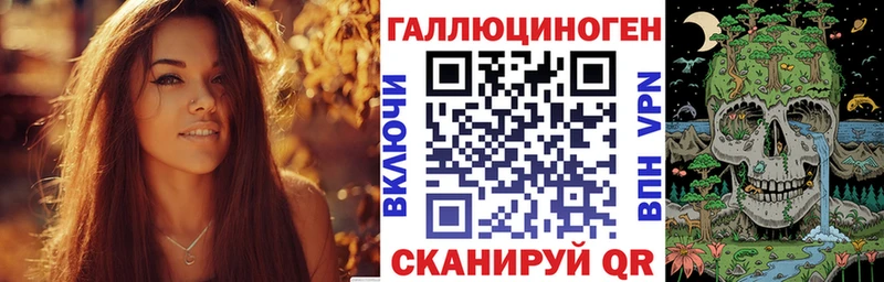 Псилоцибиновые грибы Psilocybine cubensis  Алейск 