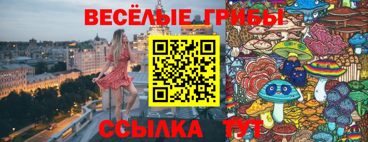 Галлюциногенные грибы мухоморы  купить  цена  Алейск  Вход с VPN 
